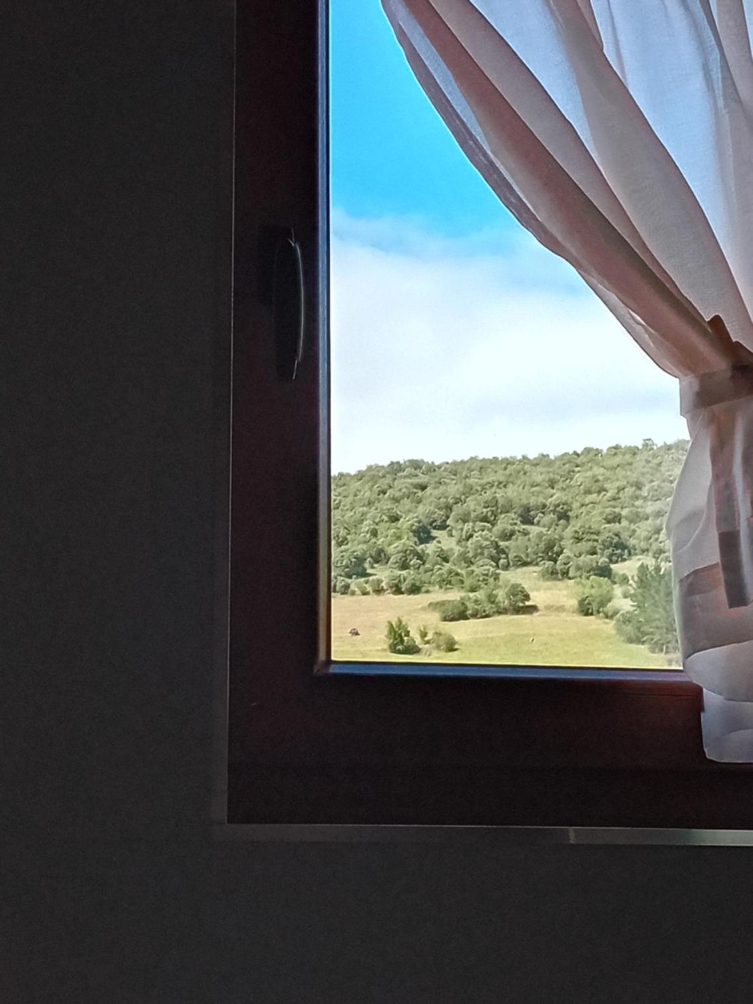 Picos De Europa Suites And Rooms Turieno Exterior photo